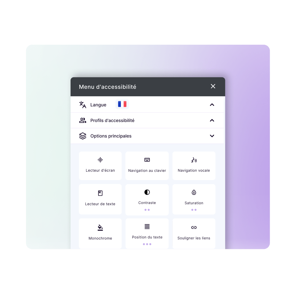 Illustration of the Main Options section on our AI widget, highlighted with a magnifying glass design.
