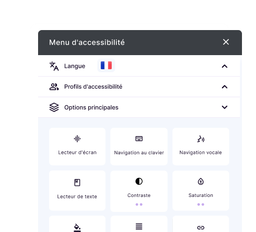 AI-powered Accessibility Widget interface